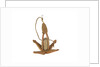 Equipment model; Anchor model; Killick by unknown