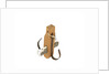Equipment model; Anchor model; Killick by unknown