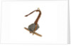 Equipment model; Anchor model; Killick by unknown