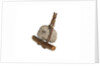 Equipment model; Anchor model; Killick by unknown