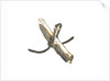Equipment model; Anchor model; Killick by unknown