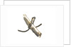 Equipment model; Anchor model; Killick by unknown