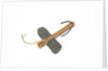 Equipment model; Anchor model; Killick by unknown