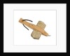 Equipment model; Anchor model; Killick by Unknown