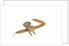Equipment model; Anchor model; Killick by unknown
