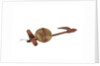 Equipment model; Anchor model; Killick by unknown