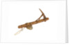 Equipment model; Anchor model; Killick by unknown