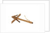 Equipment model; Anchor model; Killick by unknown