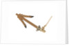 Equipment model; Anchor model; Killick by unknown