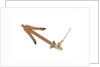Equipment model; Anchor model; Killick by unknown