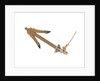 Equipment model; Anchor model; Killick by unknown