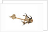 Equipment model; Anchor model; Killick by unknown