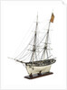 Brig Warship, 14 gun 'Joan D'Arc' (1800) by unknown