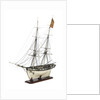 Brig Warship, 14 gun 'Joan D'Arc' (1800) by unknown