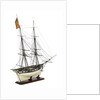 Brig Warship, 14 gun 'Joan D'Arc' (1800) by unknown