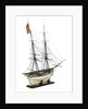 Brig Warship, 14 gun 'Joan D'Arc' (1800) by unknown