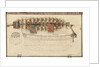 Folding model and plan of the 'Gurland' (1721) by unknown