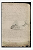 Plate from Edward Barlow's journal of his life at sea in king's ships, East & West Indiamen & other merchantmen from 1659 to 1703. by Edward Barlow