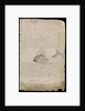 Plate from Edward Barlow's journal of his life at sea in king's ships, East & West Indiamen & other merchantmen from 1659 to 1703. by Edward Barlow