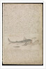 Plate from Edward Barlow's journal of his life at sea in king's ships, East & West Indiamen & other merchantmen from 1659 to 1703. by Edward Barlow