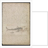 Plate from Edward Barlow's journal of his life at sea in king's ships, East & West Indiamen & other merchantmen from 1659 to 1703. by Edward Barlow