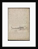 Plate from Edward Barlow's journal of his life at sea in king's ships, East & West Indiamen & other merchantmen from 1659 to 1703. by Edward Barlow