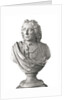 Bust of Admiral Vernon (1684-1757) by Louis-Francois Roubilliac