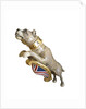 Figurehead from HMS 'Bulldog' by unknown