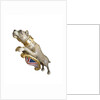 Figurehead from HMS 'Bulldog' by unknown