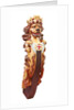 Lion figurehead by Unknown