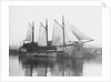 'Moliette' (1919) at Faversham by unknown