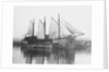 'Moliette' (1919) at Faversham by unknown