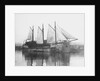 'Moliette' (1919) at Faversham by unknown