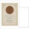 Medal awarded to David Kirkaldy, Glasgow.  For a correct and beautifully executed drawing of the Persia by unknown