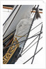 Refurbished clipper 'Cutty Sark' (1869), re-opened 25 April 2012 by Royal Museums Greenwich Photo Studio