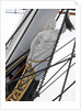 Refurbished clipper 'Cutty Sark' (1869), re-opened 25 April 2012 by Royal Museums Greenwich Photo Studio
