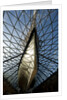 Refurbished clipper 'Cutty Sark' (1869), re-opened 25 April 2012 by National Maritime Museum