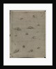 Map of Africa, 1564 - 1 of 8 sheets by Giacomo Gastaldi