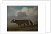 Portrait of a large dog (Dingo) by George Stubbs