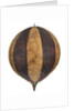 Balloon by George Shepherd