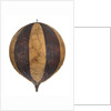 Balloon by George Shepherd