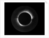 Solar eclipse, 1919 by Unknown