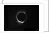 Solar eclipse, 1919 by Unknown