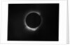 Solar eclipse, 1919 by Unknown