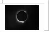 Solar eclipse, 1919 by Unknown