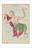 Cepheus by Sidney Hall