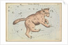 Ursa Major by Sidney Hall
