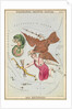 Delphinus, Sagitta, Aquila and Antinous by Sidney Hall