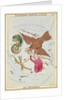 Delphinus, Sagitta, Aquila and Antinous by Sidney Hall