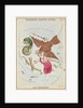 Delphinus, Sagitta, Aquila and Antinous by Sidney Hall